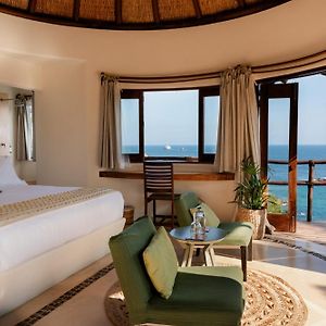 Suite con Cama King